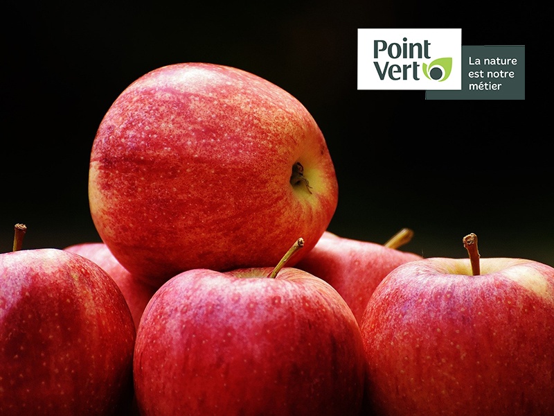 Fête pommes Pommes chez Point Vert
