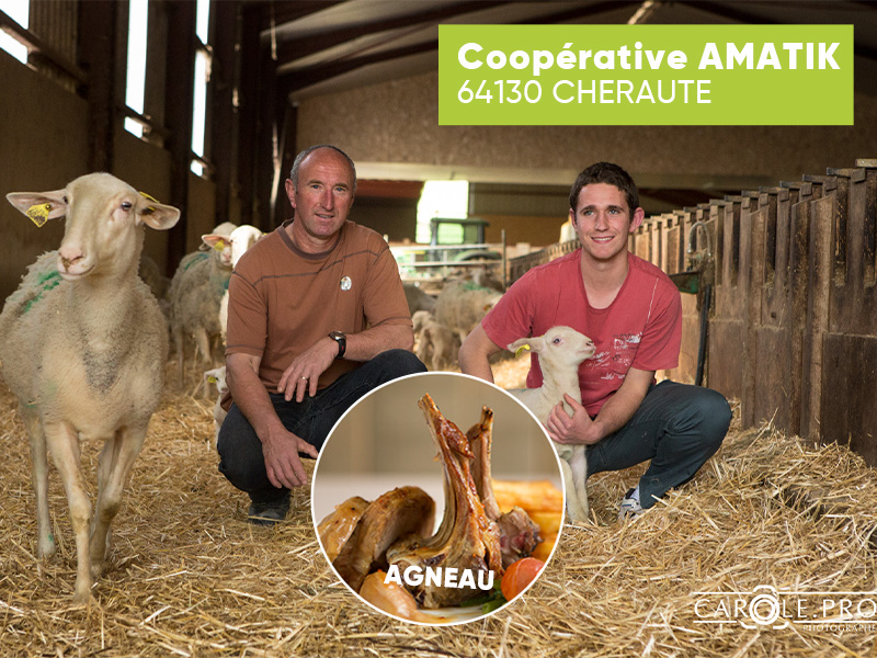 Coopérative Amatik