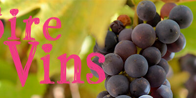 Foire aux vins